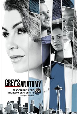 爱情电影网《实习医生格蕾 第十四季 Grey's Anatomy Season 14》免费在线观看