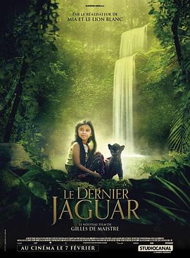 爱情电影网《最后的美洲豹 Le Dernier Jaguar》免费在线观看