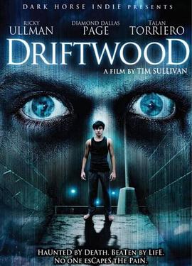 爱情电影网《地狱管教所 Driftwood》免费在线观看