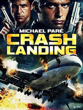 爱情电影网《紧急着陆 Crash Landing》免费在线观看