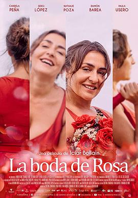 爱情电影网《罗莎的婚礼 La boda de Rosa》免费在线观看