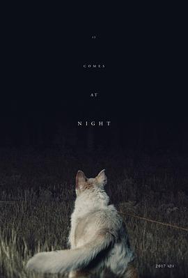 爱情电影网《黑夜造访 It Comes at Night》免费在线观看