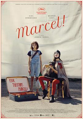 爱情电影网《马赛尔 Marcel!》免费在线观看