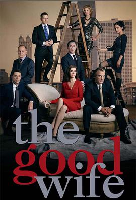 爱情电影网《傲骨贤妻 第六季 The Good Wife Season 6》免费在线观看