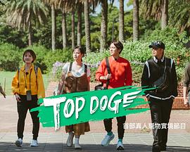 爱情电影网《TOP DOG》免费在线观看