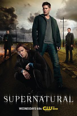 爱情电影网《邪恶力量 第八季 Supernatural Season 8》免费在线观看