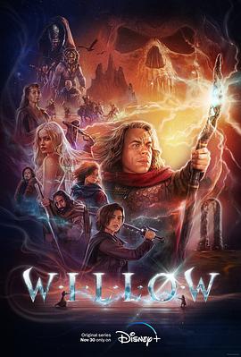 爱情电影网《风云际会 Willow》免费在线观看