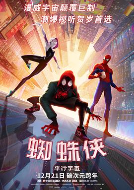 爱情电影网《蜘蛛侠：平行宇宙 Spider-Man: Into the Spider-Verse》免费在线观看