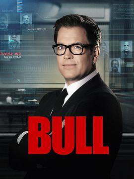 爱情电影网《庭审专家 第六季 Bull Season 6》免费在线观看