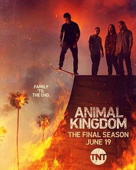 电视剧《野兽家族 第六季 Animal Kingdom Season 6》完整版在线免费观看