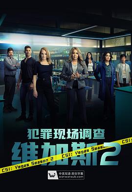 爱情电影网《犯罪现场调查：维加斯 第二季 CSI: Vegas Season 2》免费在线观看