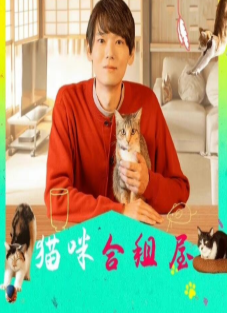 爱情电影网《猫咪合租屋》免费在线观看