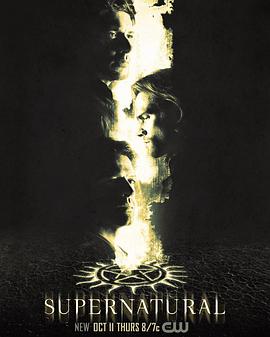 爱情电影网《邪恶力量 第十四季 Supernatural Season 14》免费在线观看