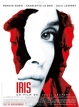 爱情电影网《艾瑞斯 Iris》免费在线观看