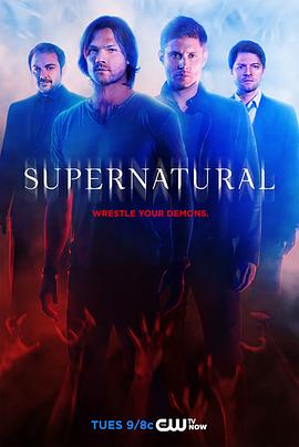 爱情电影网《邪恶力量 第十季 Supernatural Season 10》免费在线观看