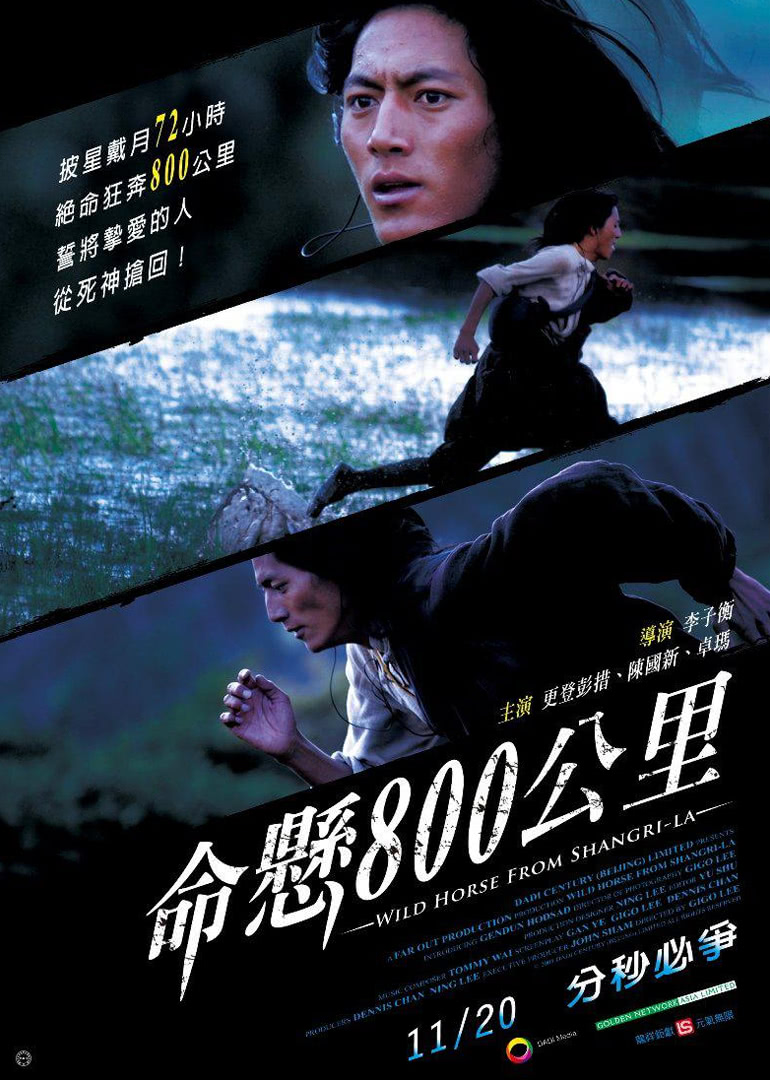 爱情电影网《命悬800公里》免费在线观看