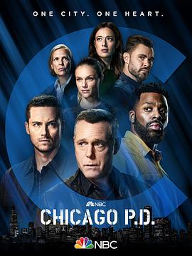 电视剧《芝加哥警署 第九季 Chicago P.D. Season 9》1080p在线免费观看