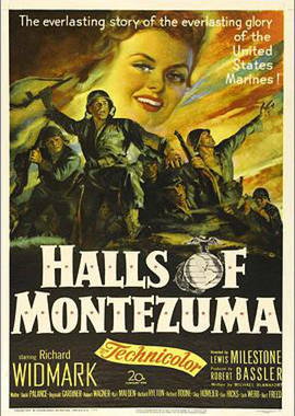 爱情电影网《火海浴血战 Halls of Montezuma》免费在线观看