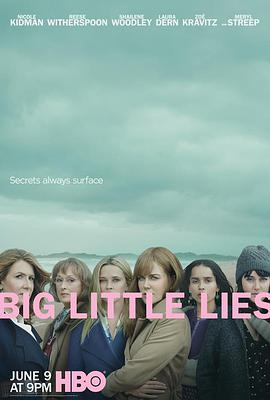 爱情电影网《大小谎言 第二季 Big Little Lies Season 2》免费在线观看