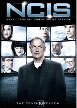 爱情电影网《海军罪案调查处 第十季 NCIS: Naval Criminal Investigative Service Season 10》免费在线观看