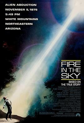 爱情电影网《外星追缉令 Fire in the Sky》免费在线观看