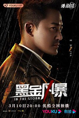 爱情电影网《黑金风暴 粤语版》免费在线观看