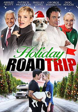 电影《假日之旅 Holiday Road Trip》1080p在线免费观看