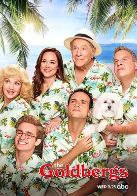 爱情电影网《戈德堡一家 第七季 The Goldbergs Season 7》免费在线观看