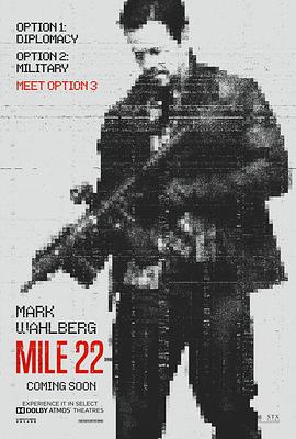 爱情电影网《22英里 Mile 22》免费在线观看