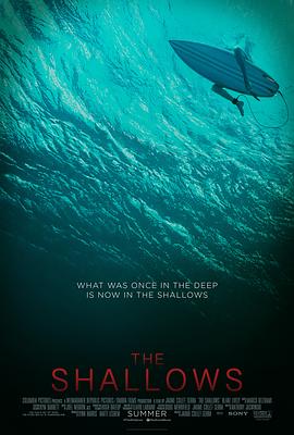 爱情电影网《鲨滩 The Shallows》免费在线观看