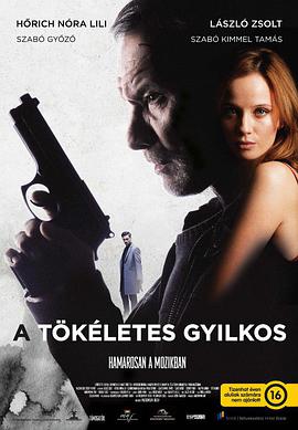 爱情电影网《正义狙击 A tökéletes gyilkos》免费在线观看