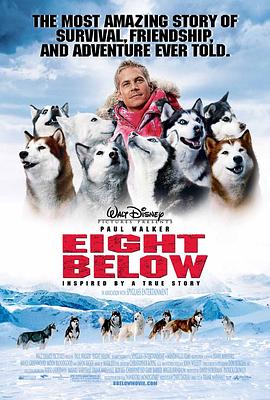 爱情电影网《南极大冒险 Eight Below》免费在线观看