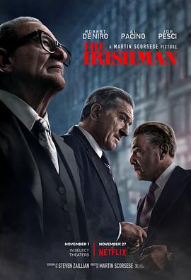 爱情电影网《爱尔兰人 The Irishman》免费在线观看