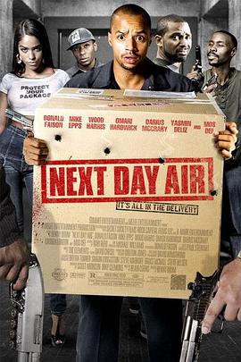 爱情电影网《次日危机 Next Day Air》免费在线观看