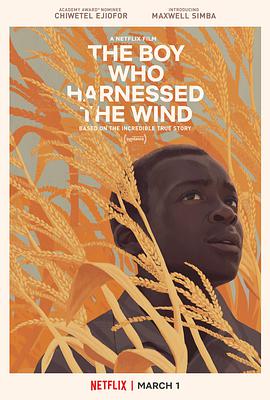 爱情电影网《驭风男孩 The Boy Who Harnessed the Wind》免费在线观看