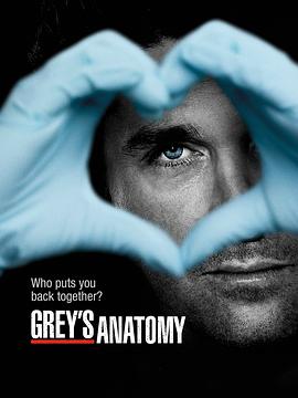 爱情电影网《实习医生格蕾 第九季 Grey's Anatomy Season 9》免费在线观看