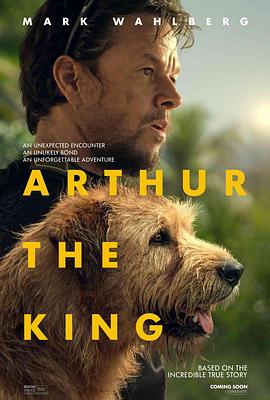 爱情电影网《冠军亚瑟 Arthur the King》免费在线观看