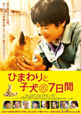 爱情电影网《向日葵与幼犬的7天 ひまわりと子犬の7日間》免费在线观看