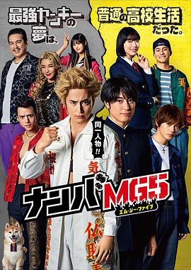 电视剧《难破MG5 ナンバMG5》4k在线免费观看