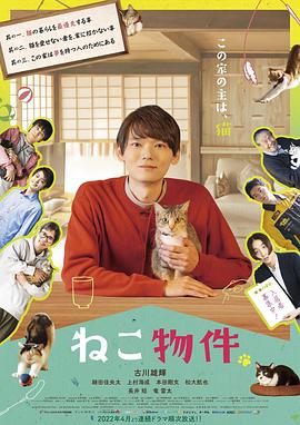 爱情电影网《猫物件 ねこ物件》免费在线观看