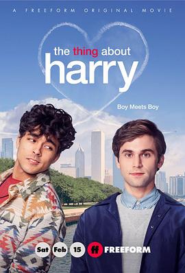 爱情电影网《关于哈利的那些事 The Thing About Harry》免费在线观看