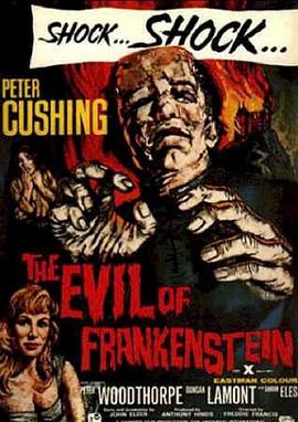 爱情电影网《邪恶的科学怪人 The Evil of Frankenstein》免费在线观看