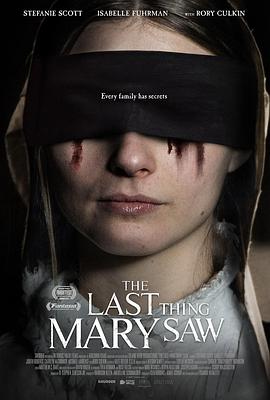 爱情电影网《最后一眼 The Last Thing Mary Saw》免费在线观看