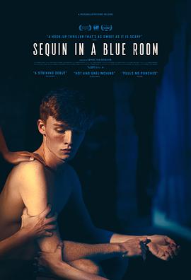 爱情电影网《蓝色禁室 Sequin in a Blue Room》免费在线观看