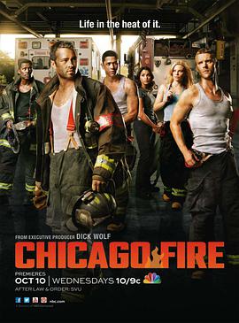 爱情电影网《芝加哥烈焰 第一季 Chicago Fire Season 1》免费在线观看