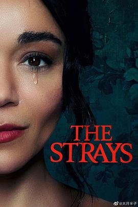 电影《流浪者 The Strays》高清在线免费观看