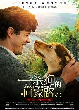 爱情电影网《一条狗的回家路 A Dog's Way Home》免费在线观看