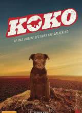 爱情电影网《Koko:红犬历险记》免费在线观看