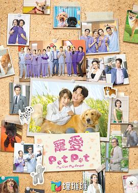 爱情电影网《宠爱Pet Pet粤语》免费在线观看