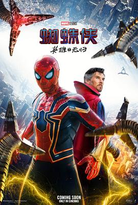 爱情电影网《蜘蛛侠：英雄无归 Spider-Man: No Way Home》免费在线观看